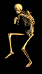Squelette animé