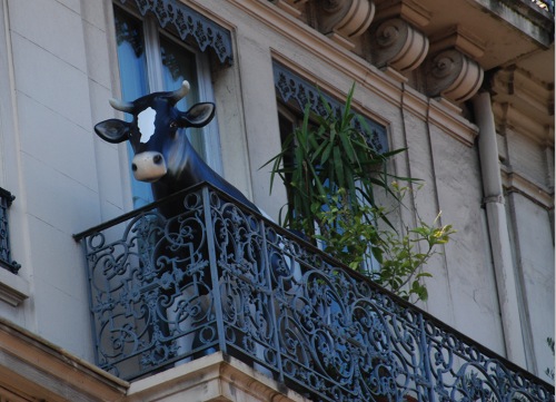 Vache au balcon
