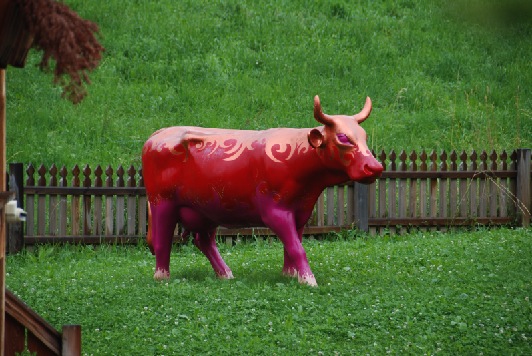 Vache rouge